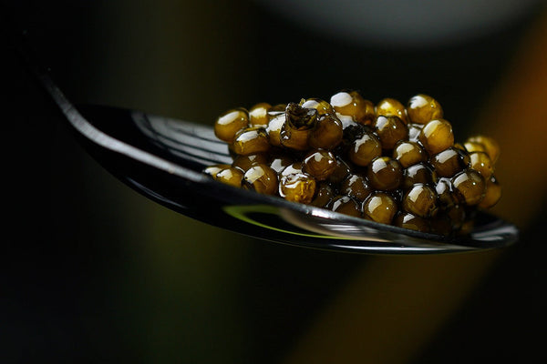 Dégustations de Caviars Privées